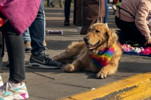 Marcha del orgullo 2019