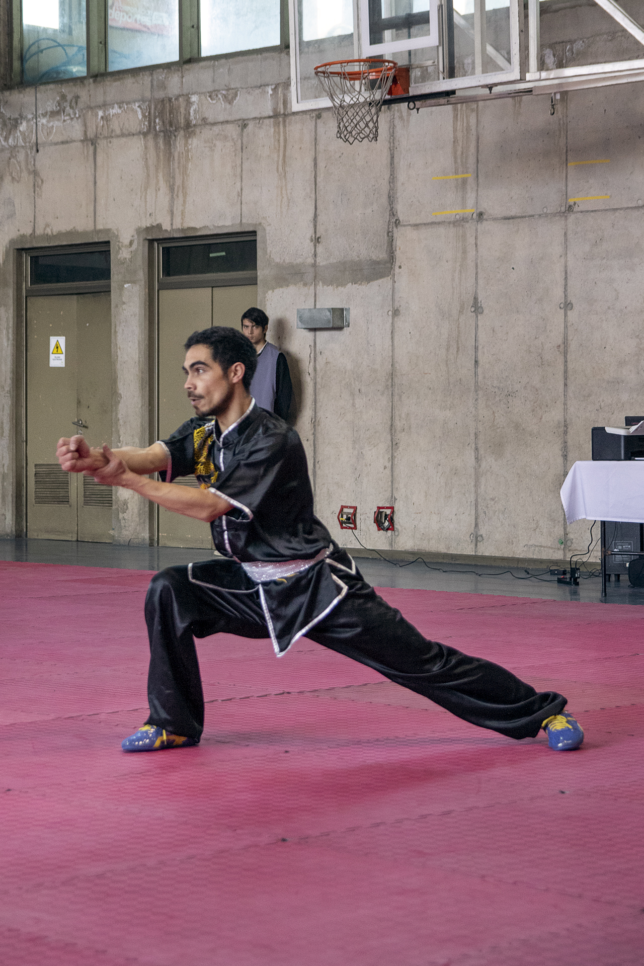 Campeonato Nacional Wushu