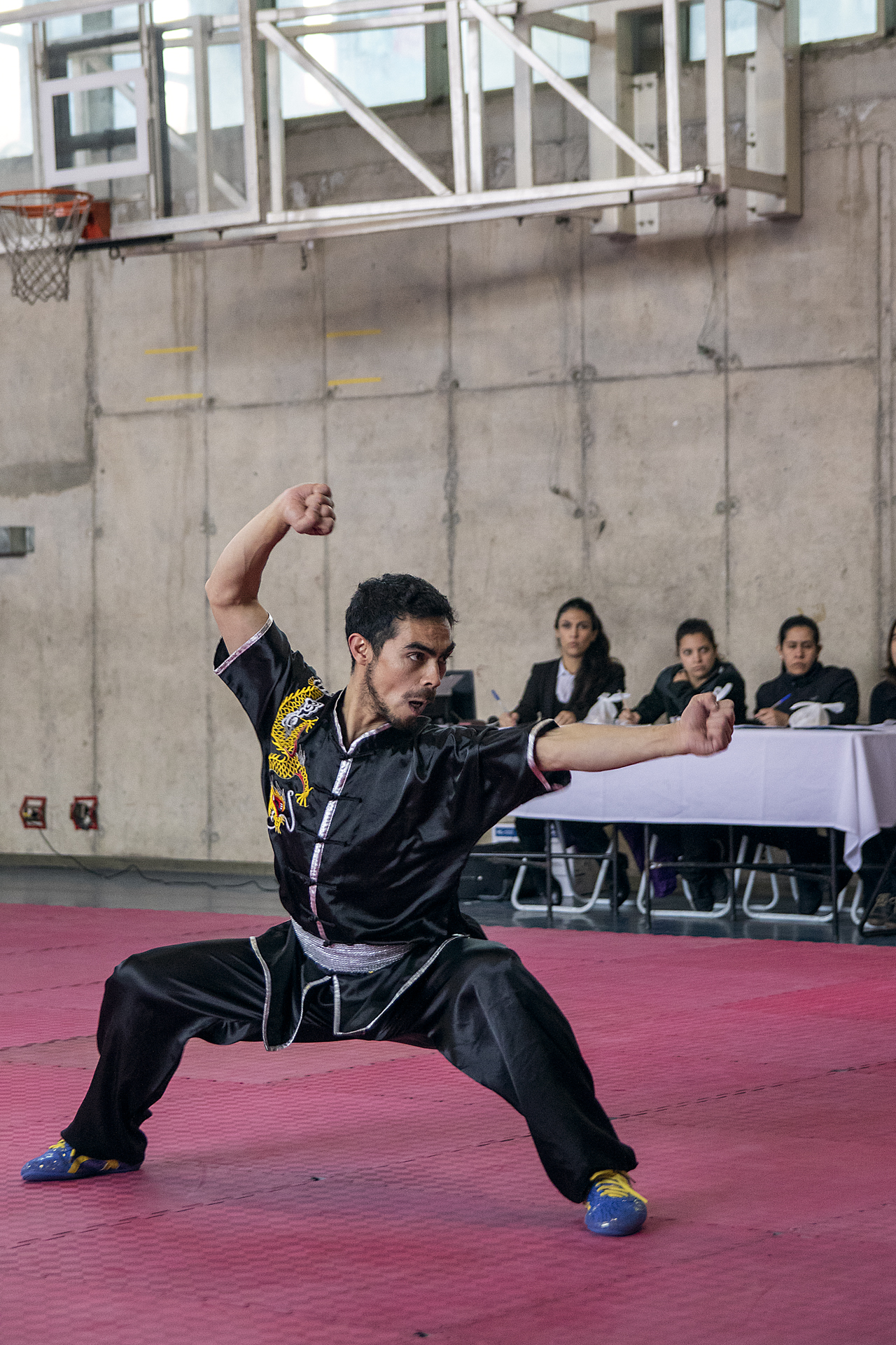 Campeonato Nacional Wushu