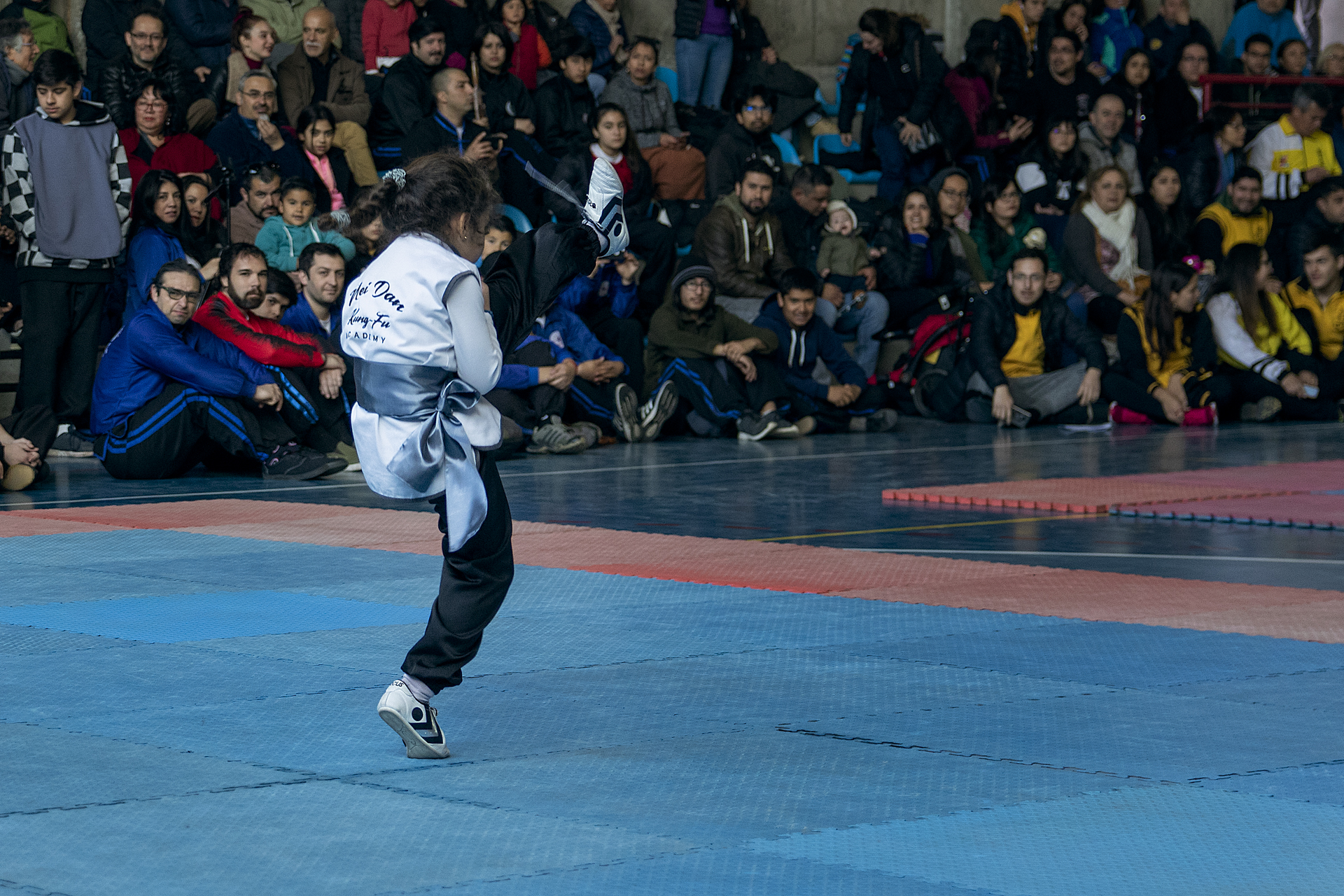 Campeonato Nacional Wushu