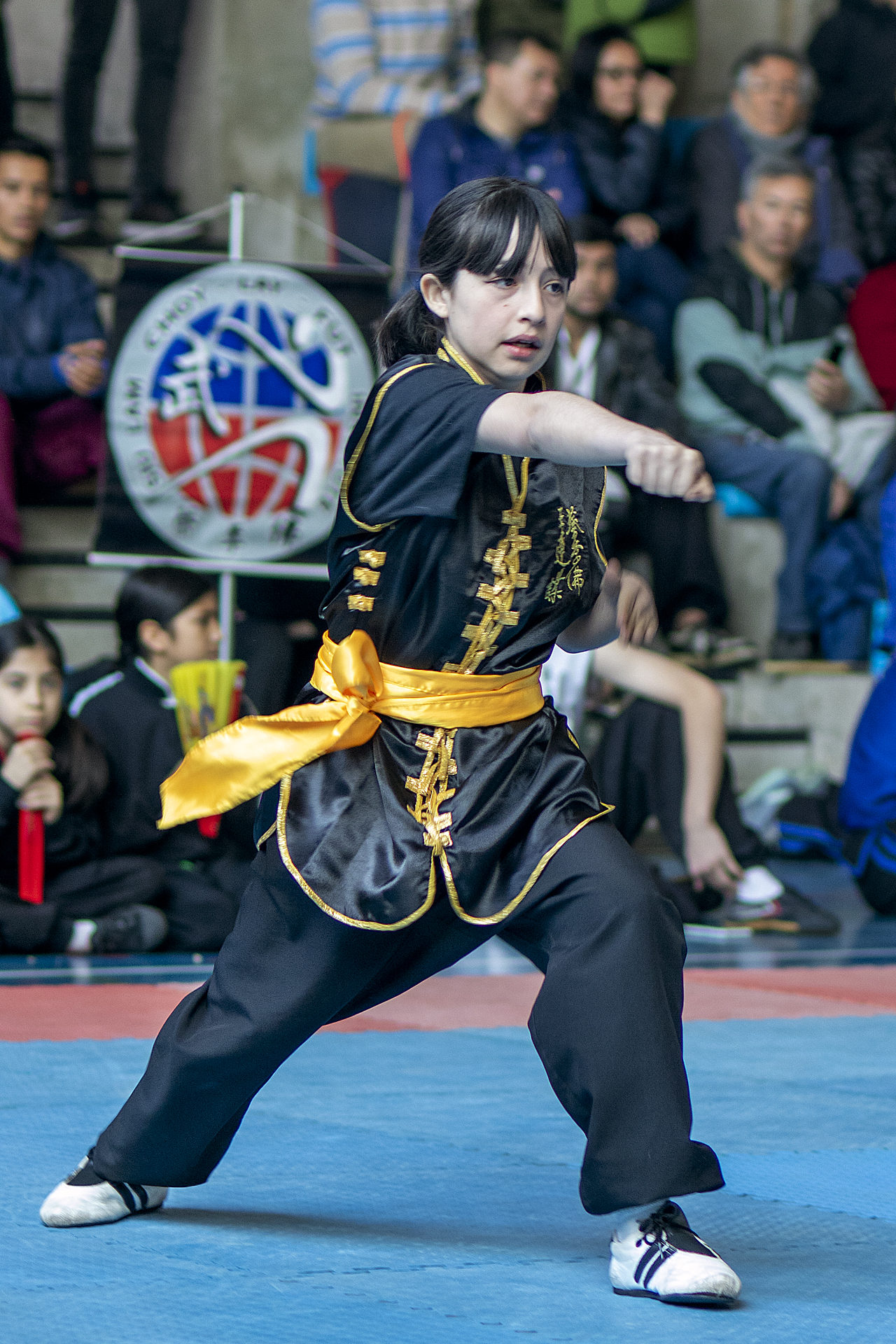 Campeonato Nacional Wushu