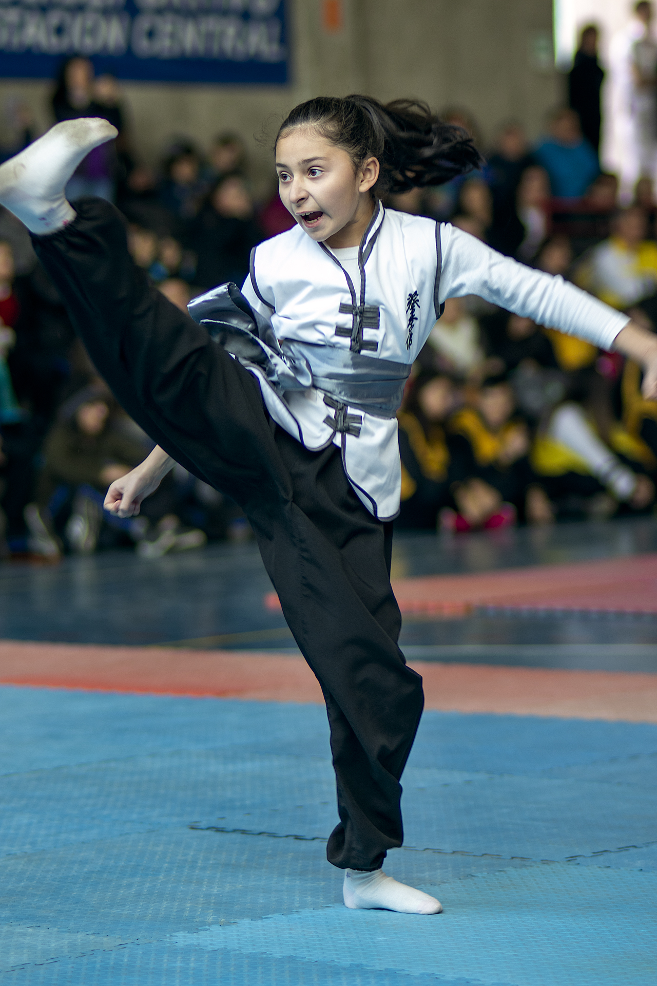 Campeonato Nacional Wushu