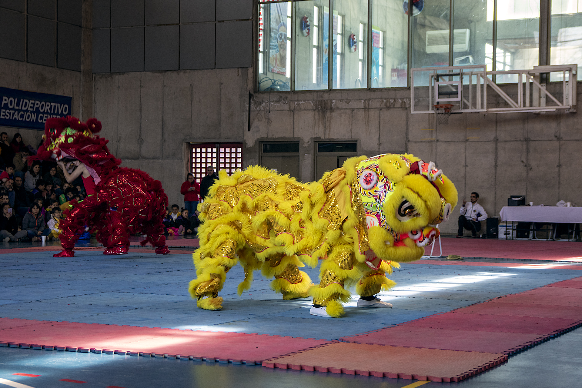 Campeonato Nacional Wushu